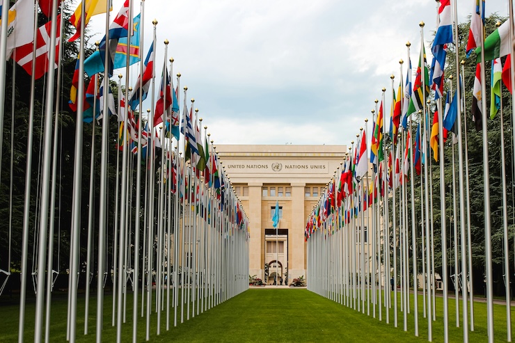 flags on green grass field in front of United Nations building during daytime